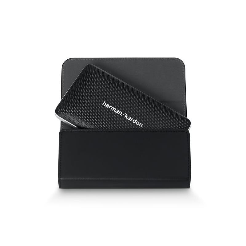 Harman kardon esquire mini hot sale case